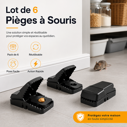 Lot De 6 Pièges À Souris En Plastique | Stoppez Les Intrusions Et Protégez Votre Maison