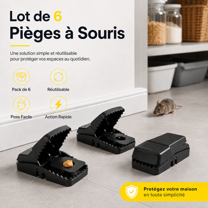 Lot De 6 Pièges À Souris En Plastique | Stoppez Les Intrusions Et Protégez Votre Maison