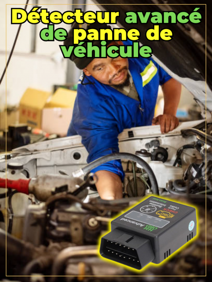 Système professionnel de diagnostic automobile