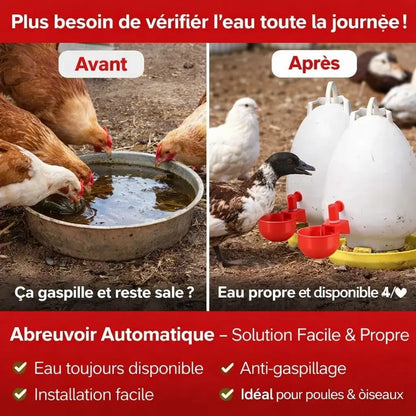 AquaPet™ – Abreuvoir Automatique 15 PCS.